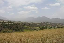 Sewasew | Bugna (ቡግና)