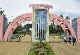 Sewasew | Wollega University (ወለጋ ዩኒቨርሲቲ)