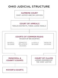 Structure of judicial on sale system