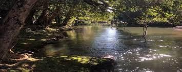 Sewasew | Mena River (መና ወንዝ)