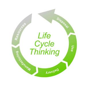 Sewasew | Life-time and life cycle (የሕይወት ዘመን እና የሕይወት ዑደት)