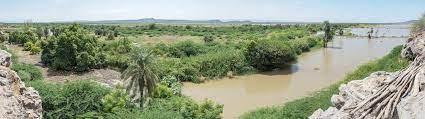 Sewasew | Awash (አዋሽ)