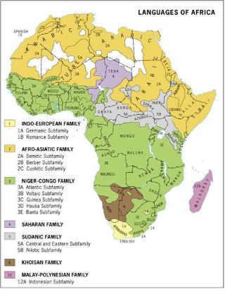 ሰዋስው | The major languages of Africa | ዋና ዋና የአፍሪካ ቋንቋዎች